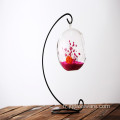 Bouteille en verre Terrarium Home Decor